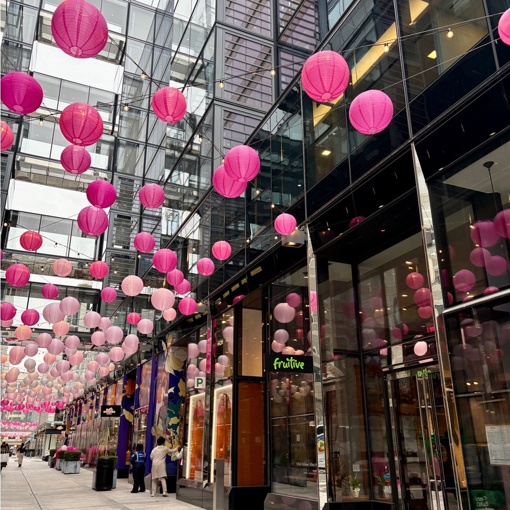 Meet your Posher, Ana